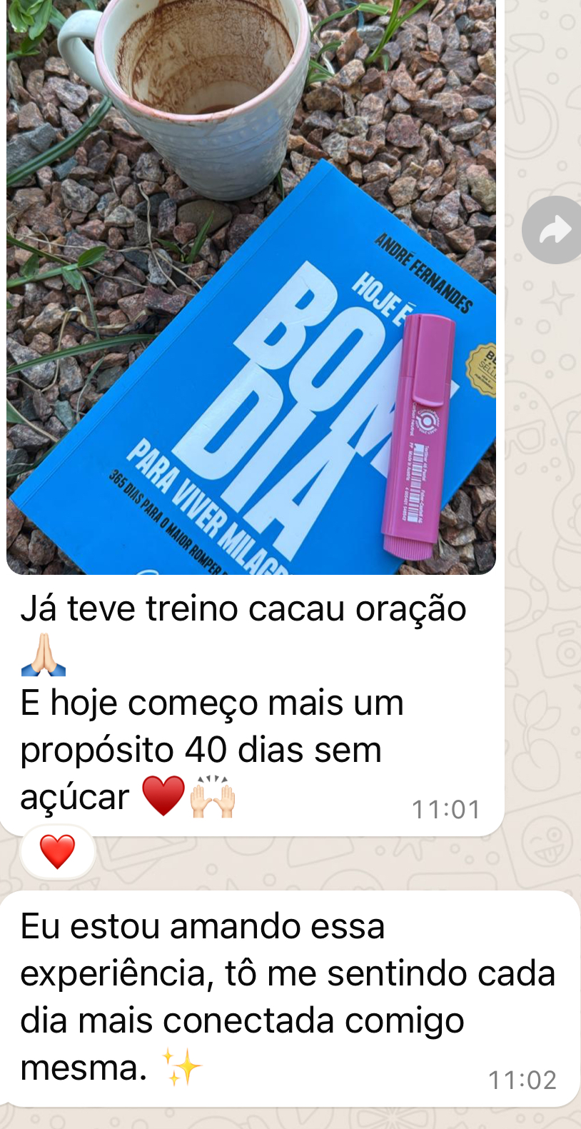 Cacau, livro e caneta sobre as pedras — relato de participante